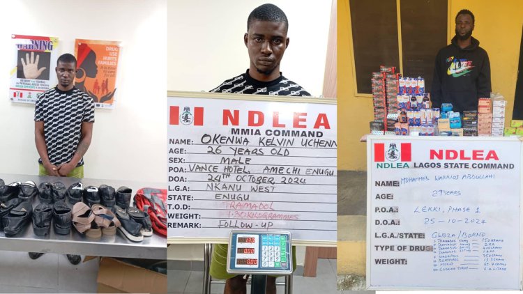 NDLEA recovers illicit drugs in Lagos shrine, underground storage in Lekki