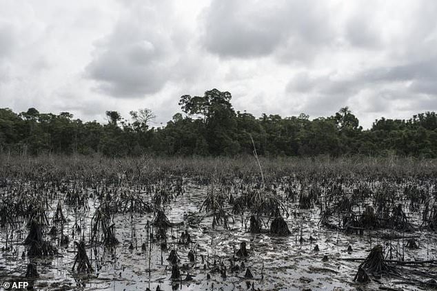 Oil spill and pollution