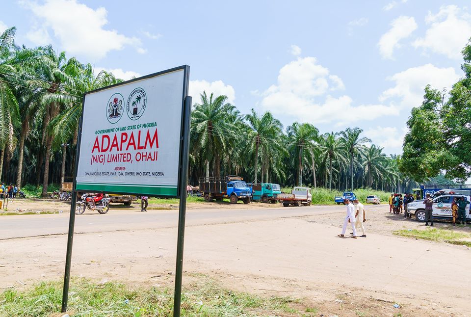 ADAPALM Imo state and Roche Group