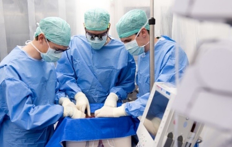 Liver implant