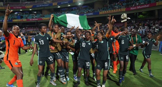 Flamingos of Nigeria