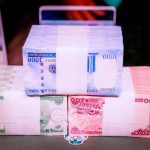 New naira notes