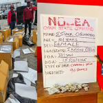 NDLEA suspect..great grandma