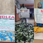 NDLEA suspects